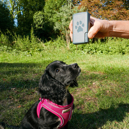 Treat Easi Original - Slate Blue