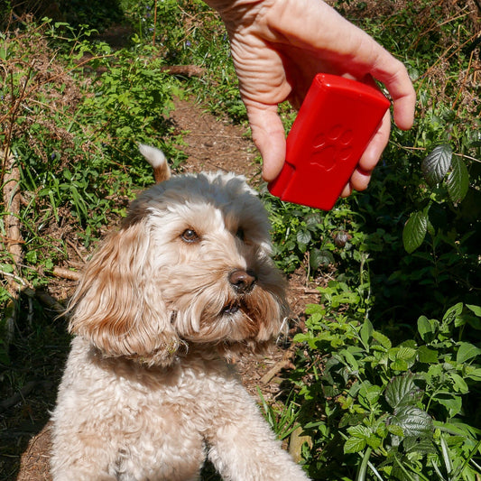 Treat Easi Original - Red