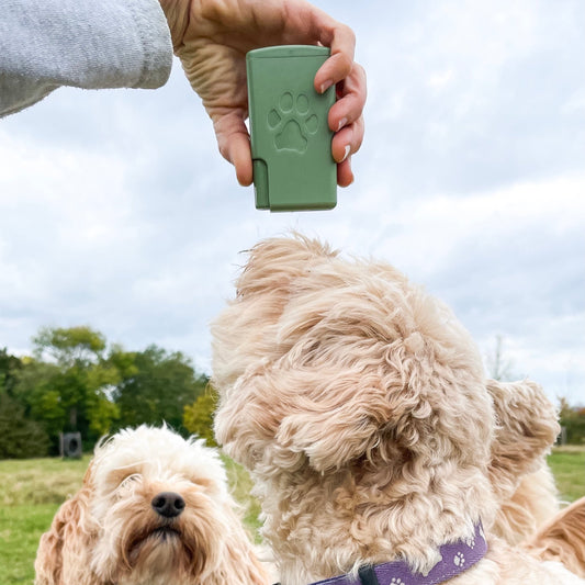 Treat Easi Original - Sage Green