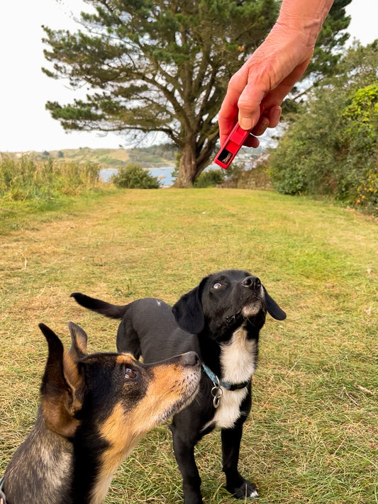 Treat Easi Omni